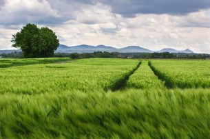La agricultura y la apariencia: dos aspectos que no están reñidos